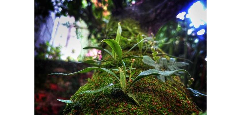 Rugby Connect - Oops